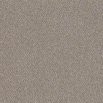 MIX'D ESSENTIALS WT in Dove Feather(A) Carpet
