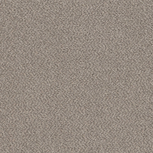 MIX'D ESSENTIALS WT in Dove Feather(A) Carpet