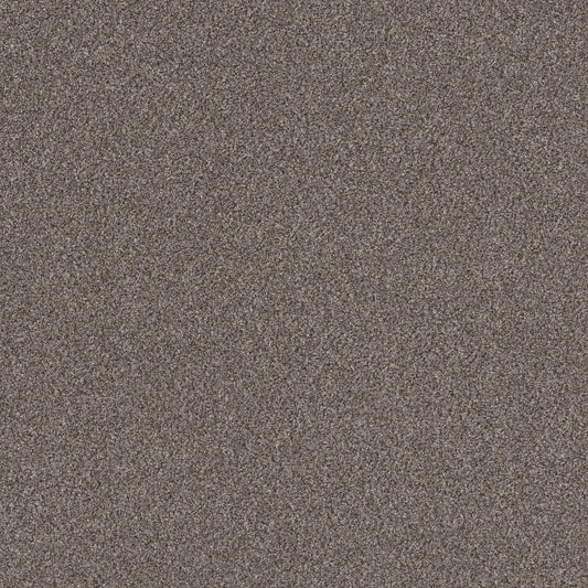 RIGHT CHOICE WT in Baltic Stone Carpet