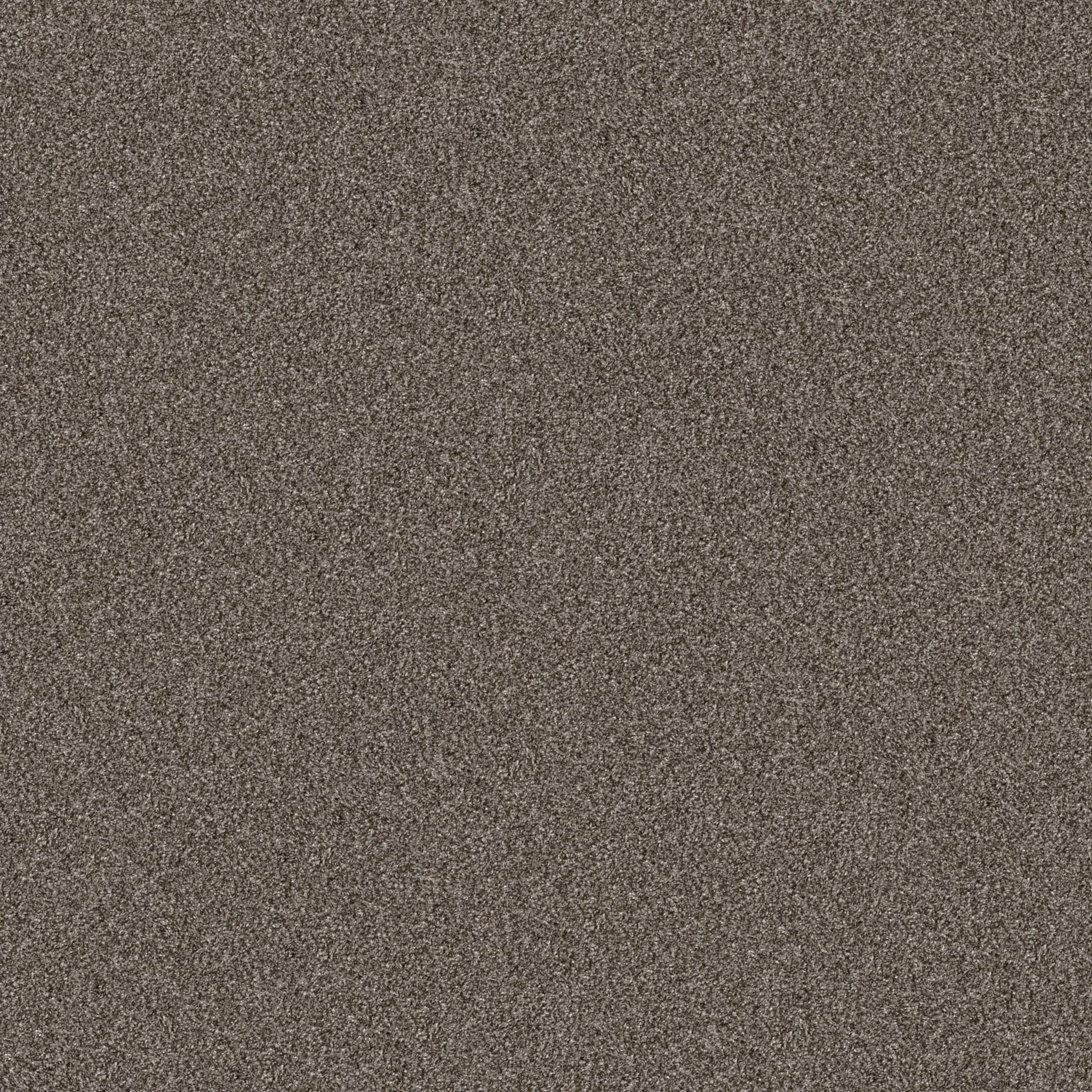 YES YOU CAN I 15' in Urban Rustic Carpet