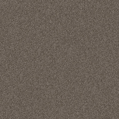 YES YOU CAN I 15' in Urban Rustic Carpet