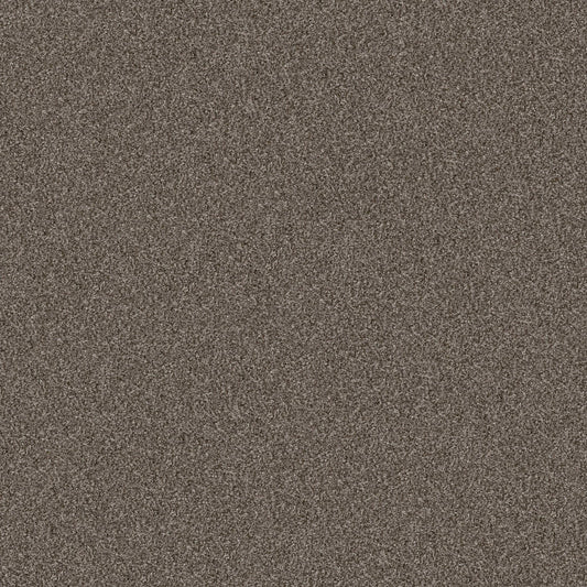 YES YOU CAN I 15' in Urban Rustic Carpet