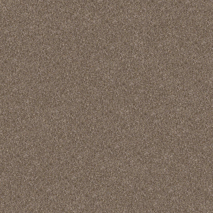 YES YOU CAN III 15' in Honeycomb Carpet