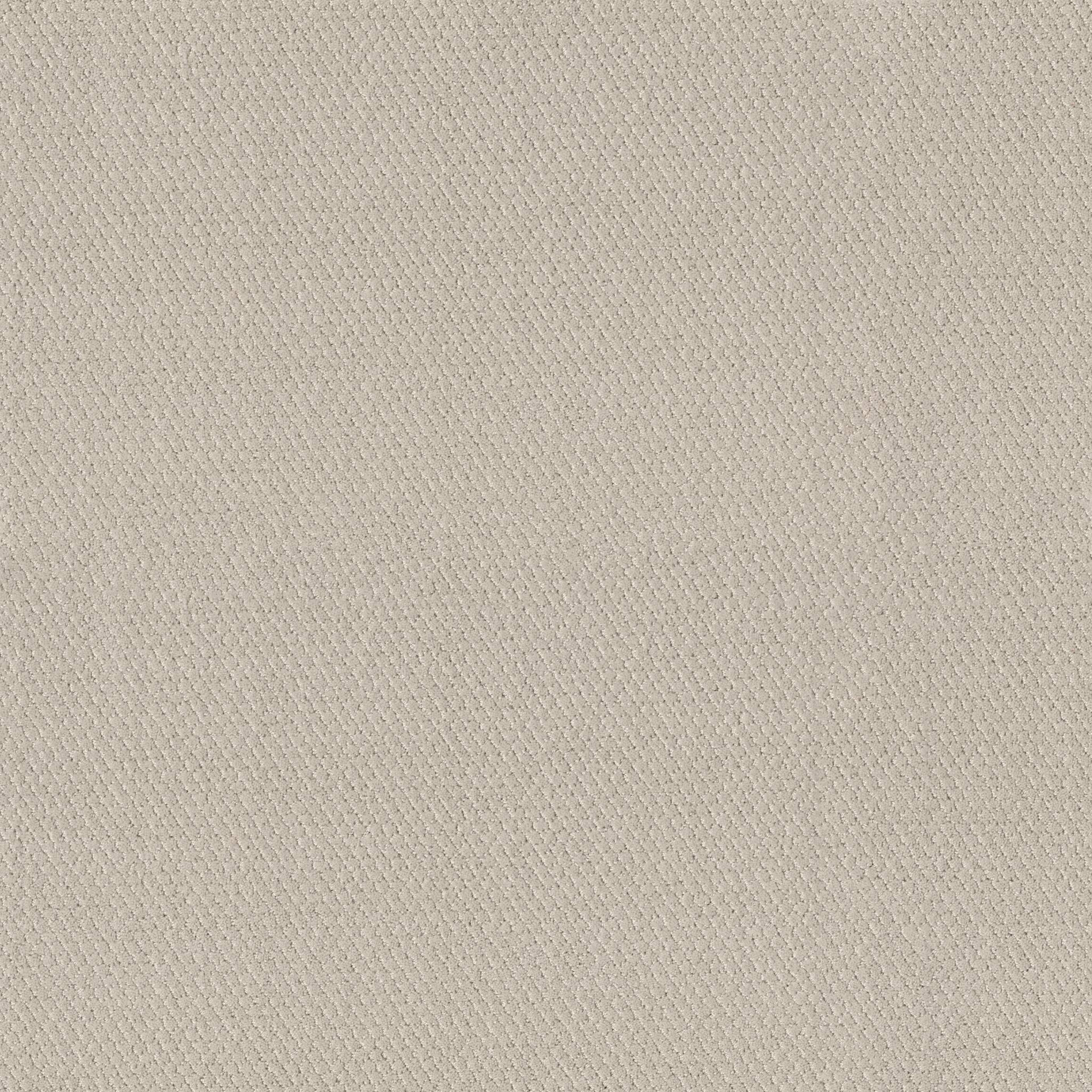 SIMPLY CLASSIC in Natural Carpet