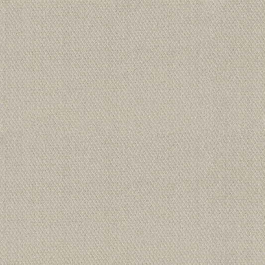 SIMPLY CLASSIC in Natural Carpet