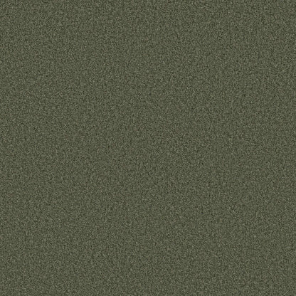 TONAL COMFORT I