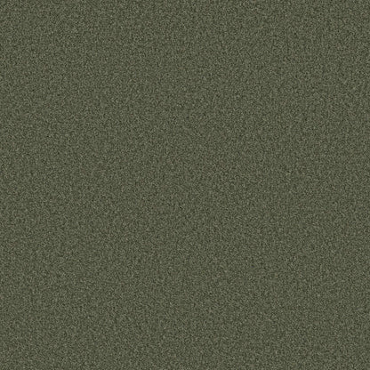 TONAL COMFORT II