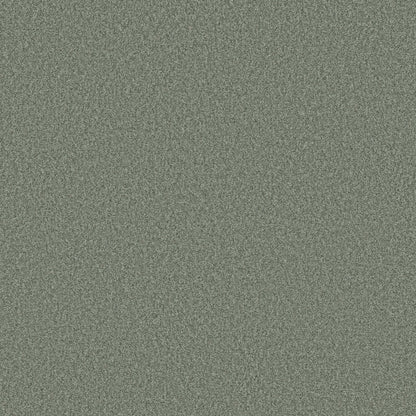 TONAL COMFORT II
