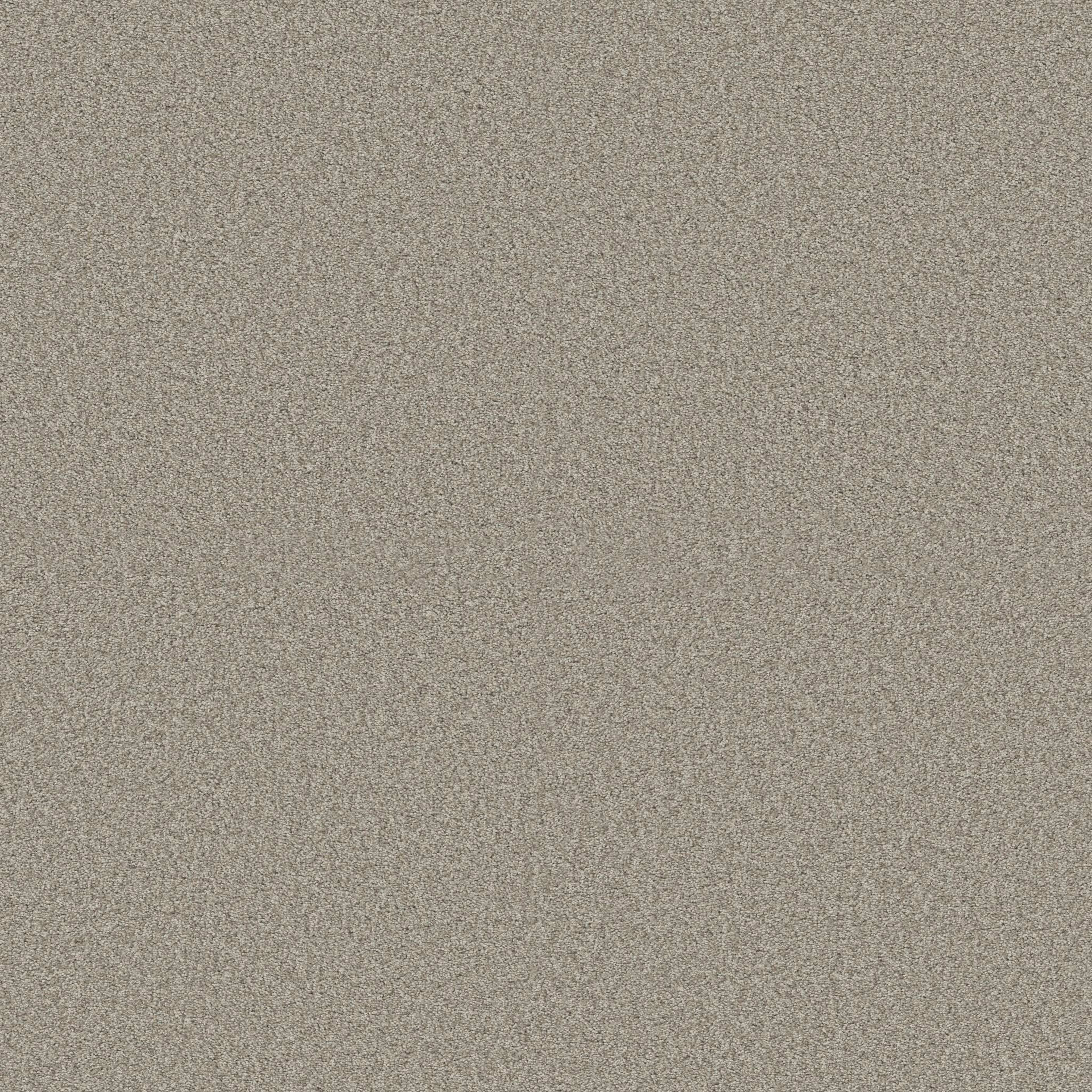 COMFORTING I in Rustic Carpet