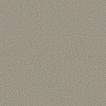 COMFORTING I in Rustic Carpet