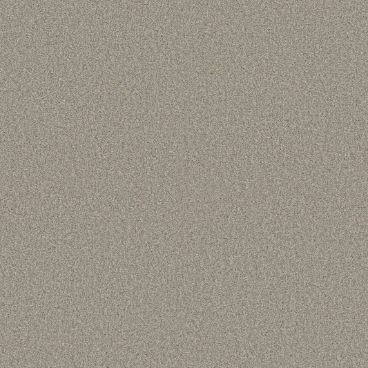 COMFORTING I in Rustic Carpet