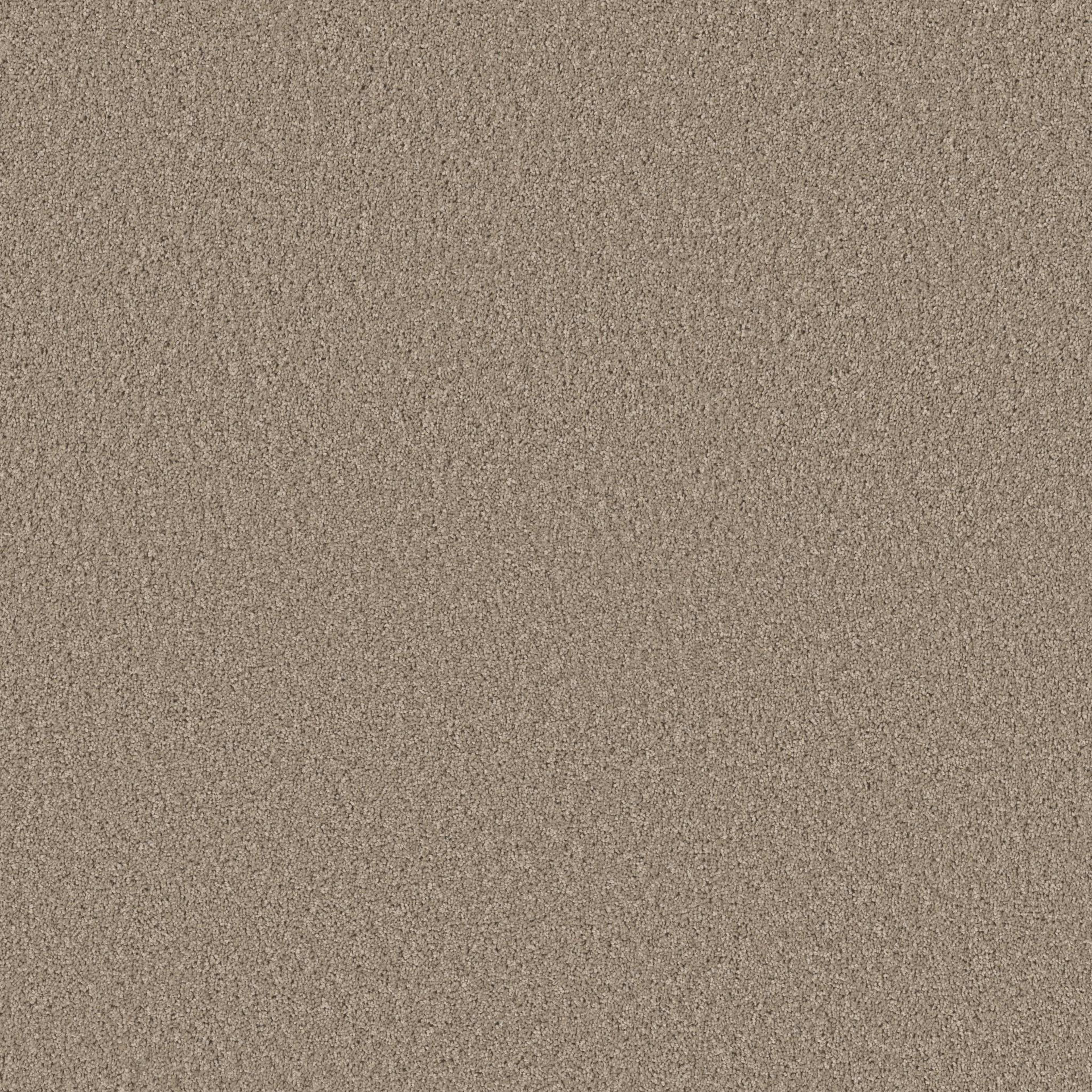 HIGH IMPACT S in Broadstreet Carpet