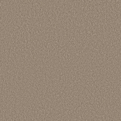HIGH IMPACT S in Broadstreet Carpet
