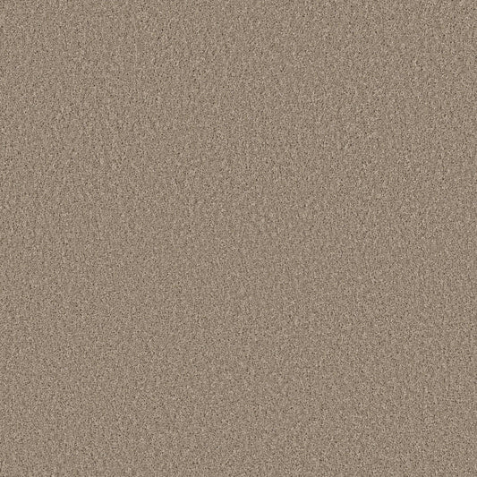 HIGH IMPACT S in Broadstreet Carpet