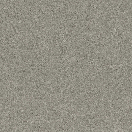 HIGH IMPACT T in Fresh Air Carpet