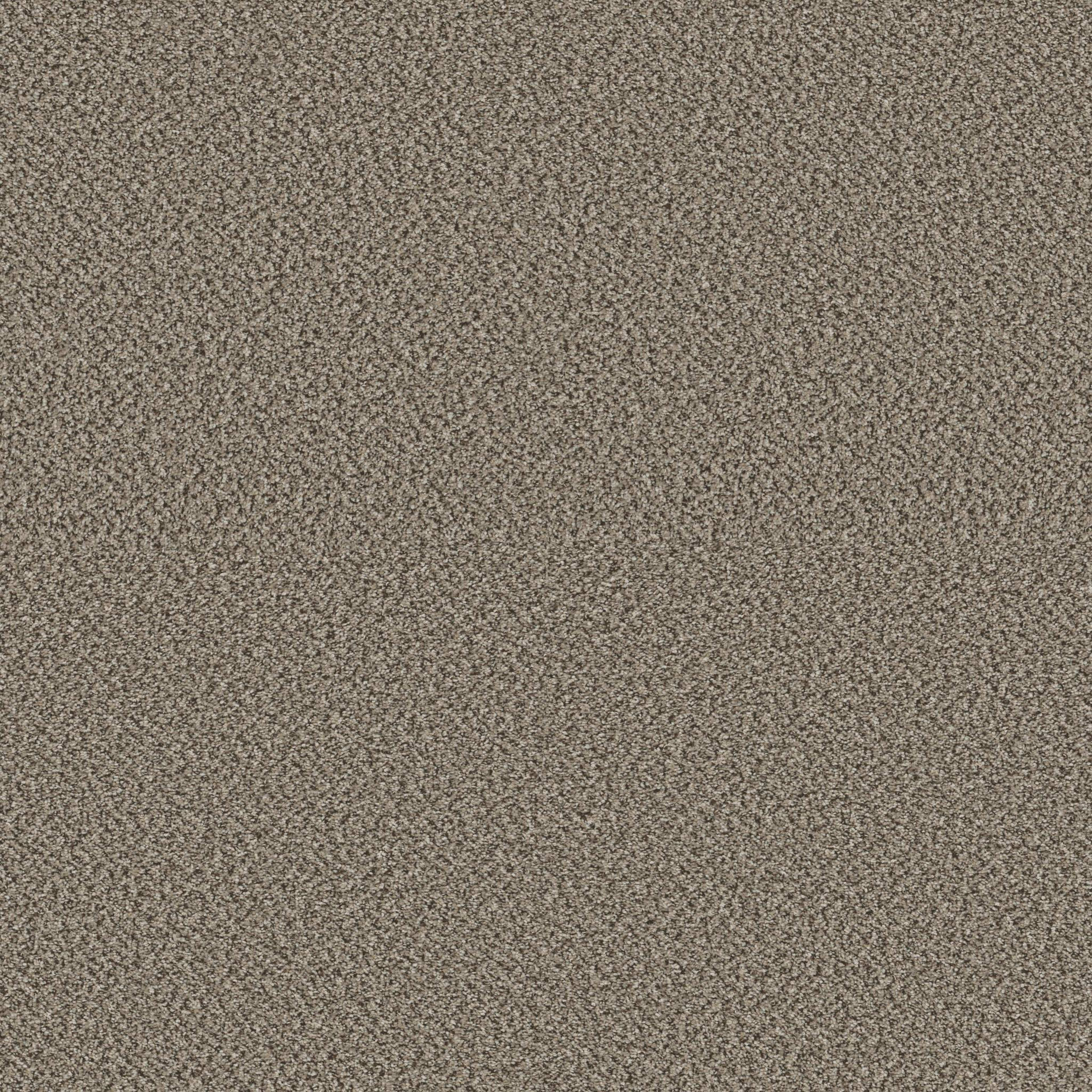 HIGH IMPACT B in Fairview Carpet