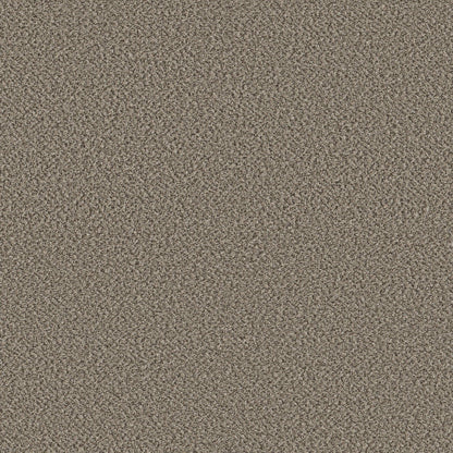 HIGH IMPACT B in Fairview Carpet