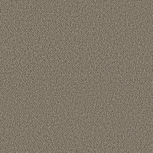 HIGH IMPACT B in Fairview Carpet