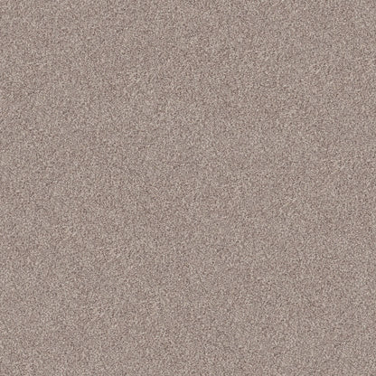 INLET SHORE 1 12' in Pale Ecru Carpet