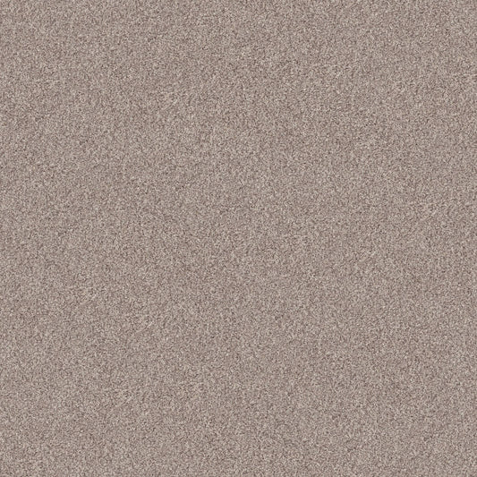 INLET SHORE 1 12' in Pale Ecru Carpet