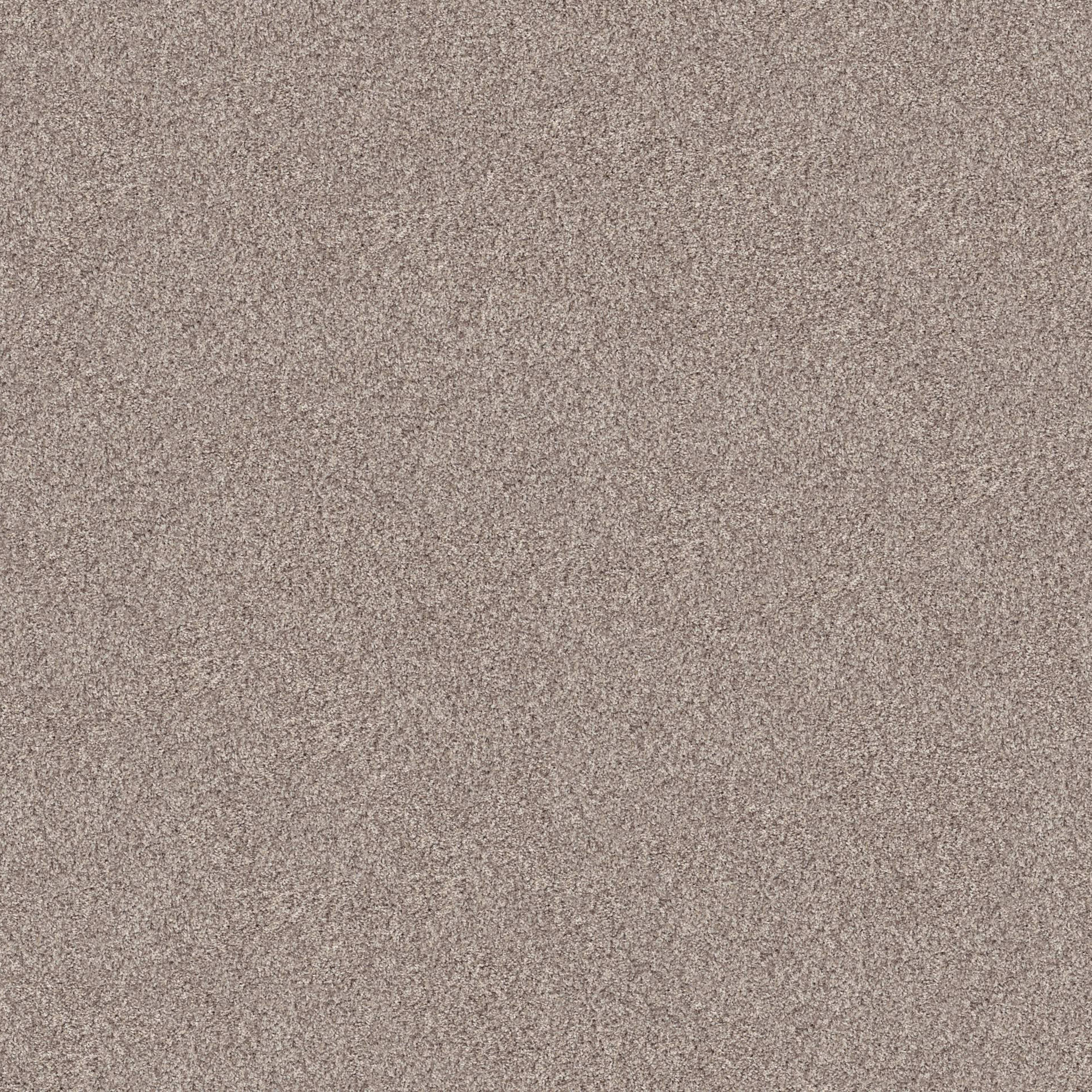 INLET SHORE 1 15' in Pale Ecru Carpet