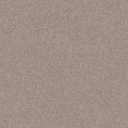 INLET SHORE II 15'