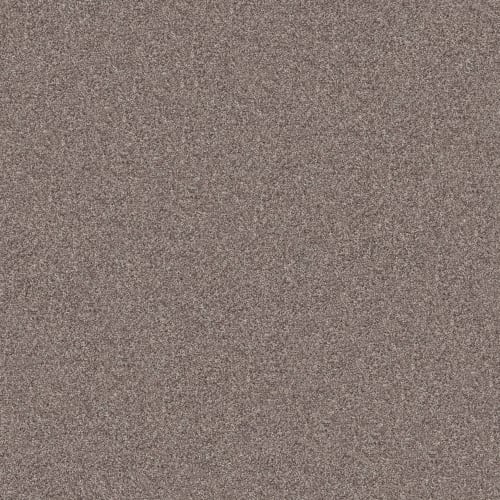 INLET SHORE II 15' in Smooth Satin