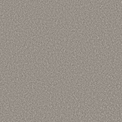 AFFIRMATION II in Lunar Surface