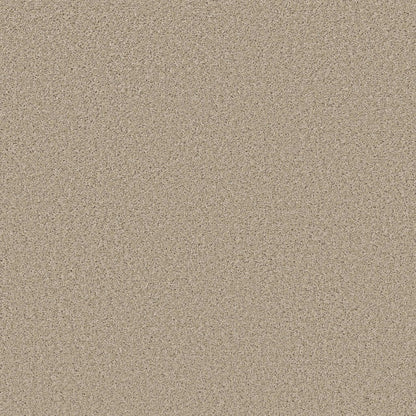 HIGH RANKING S in Paradise Carpet