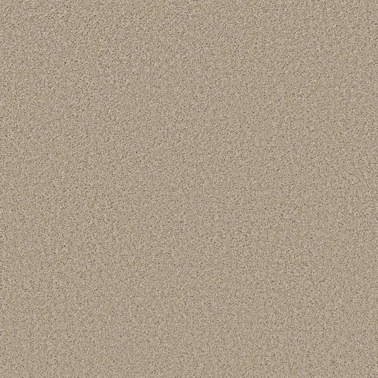 HIGH RANKING S in Paradise Carpet