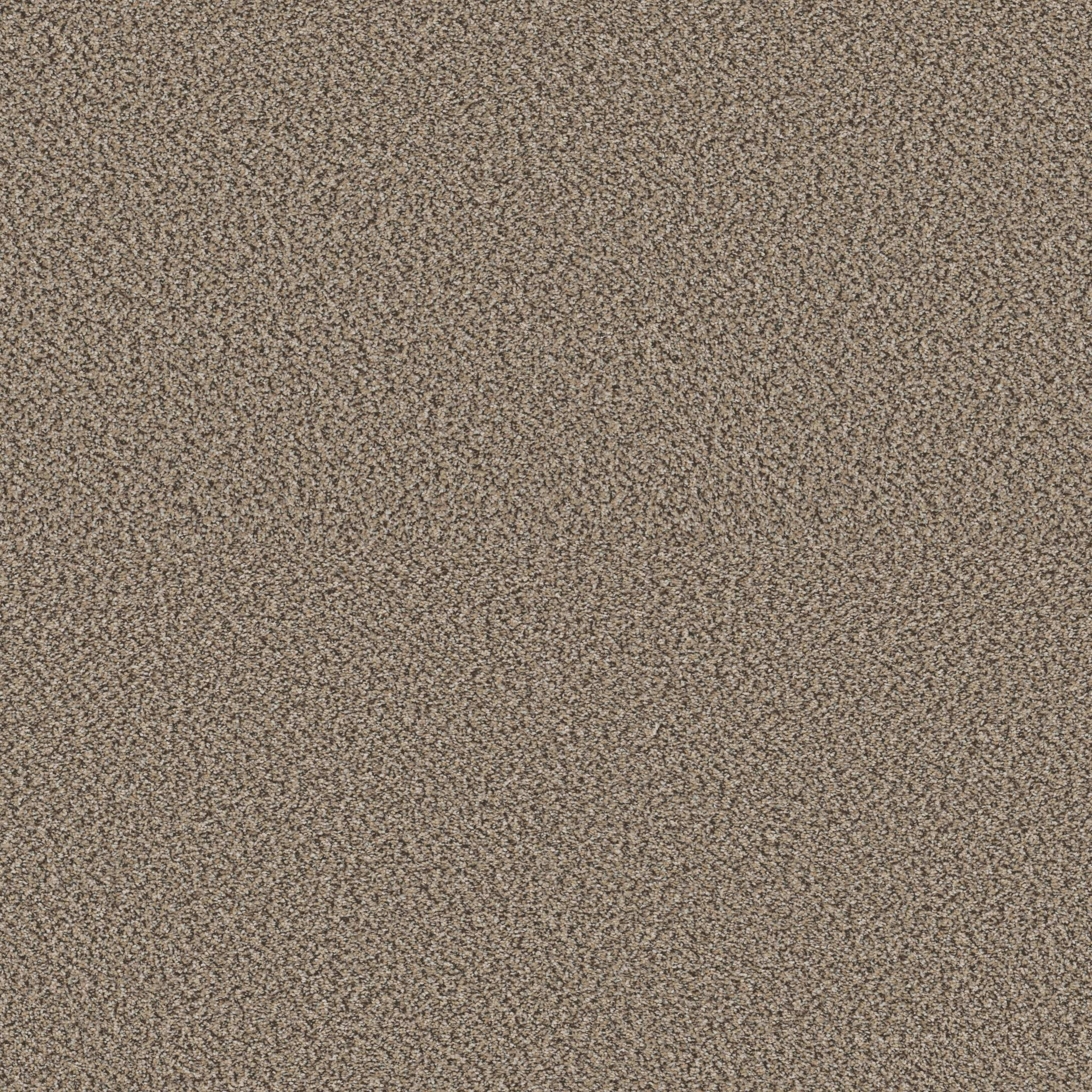 HIGH RANKING B in Escape Carpet