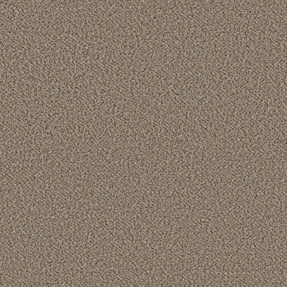 HIGH RANKING B in Escape Carpet