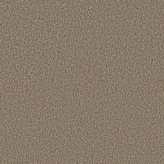 HIGH RANKING B in Escape Carpet