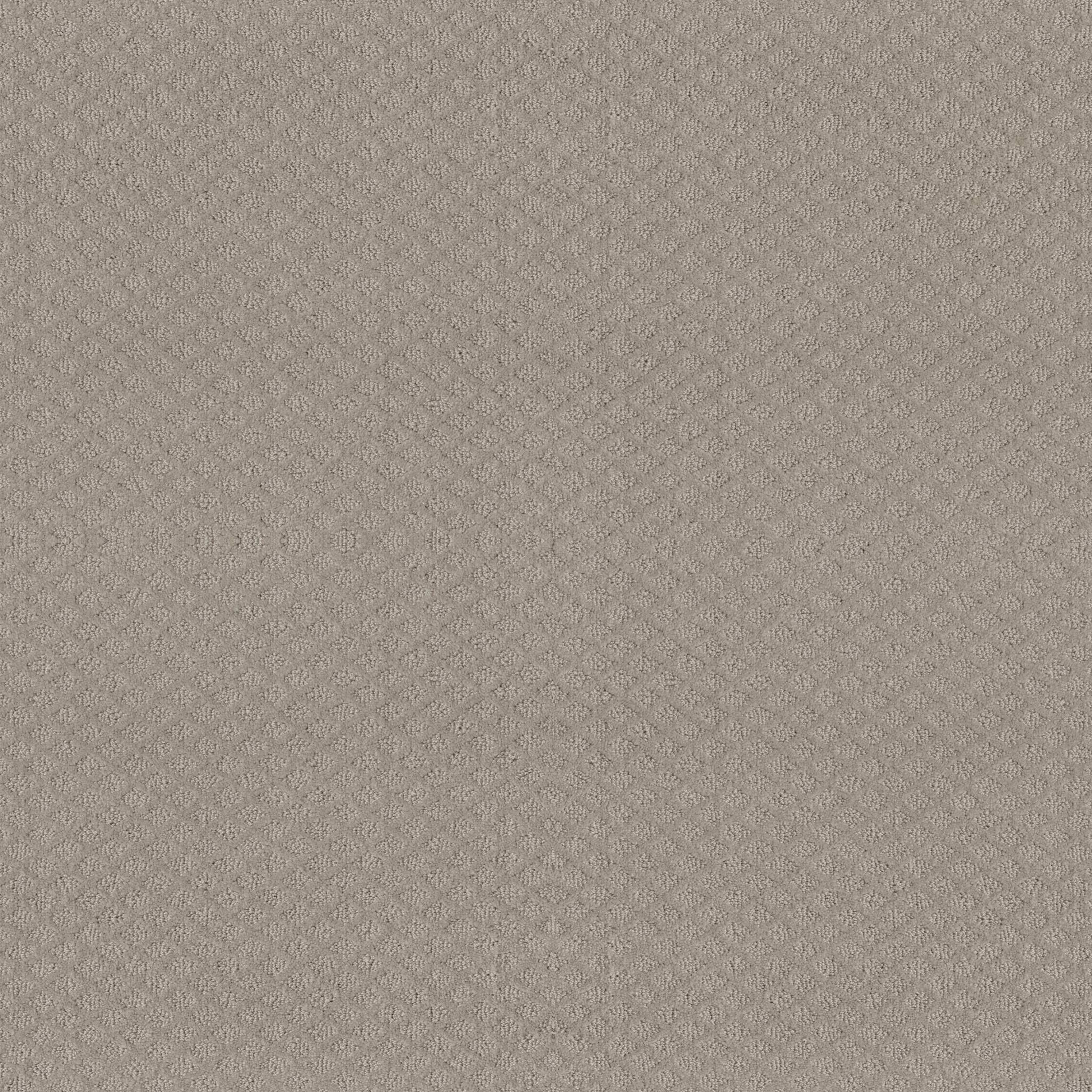 MIDLAND CHARM in Quiet Moment Carpet