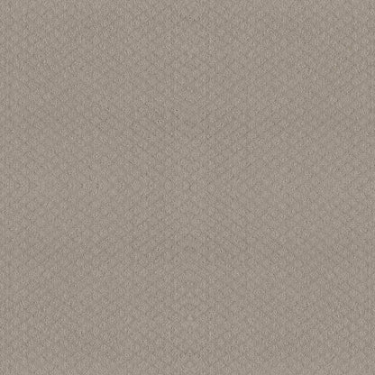 MIDLAND CHARM in Quiet Moment Carpet