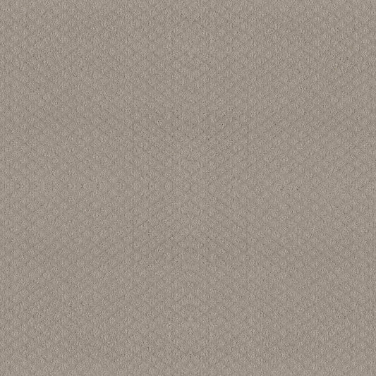 MIDLAND CHARM in Quiet Moment Carpet