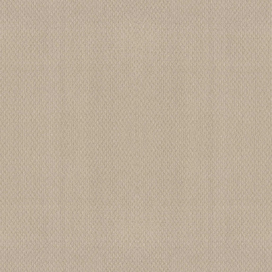AUSTIN PARK in Sentimental Carpet
