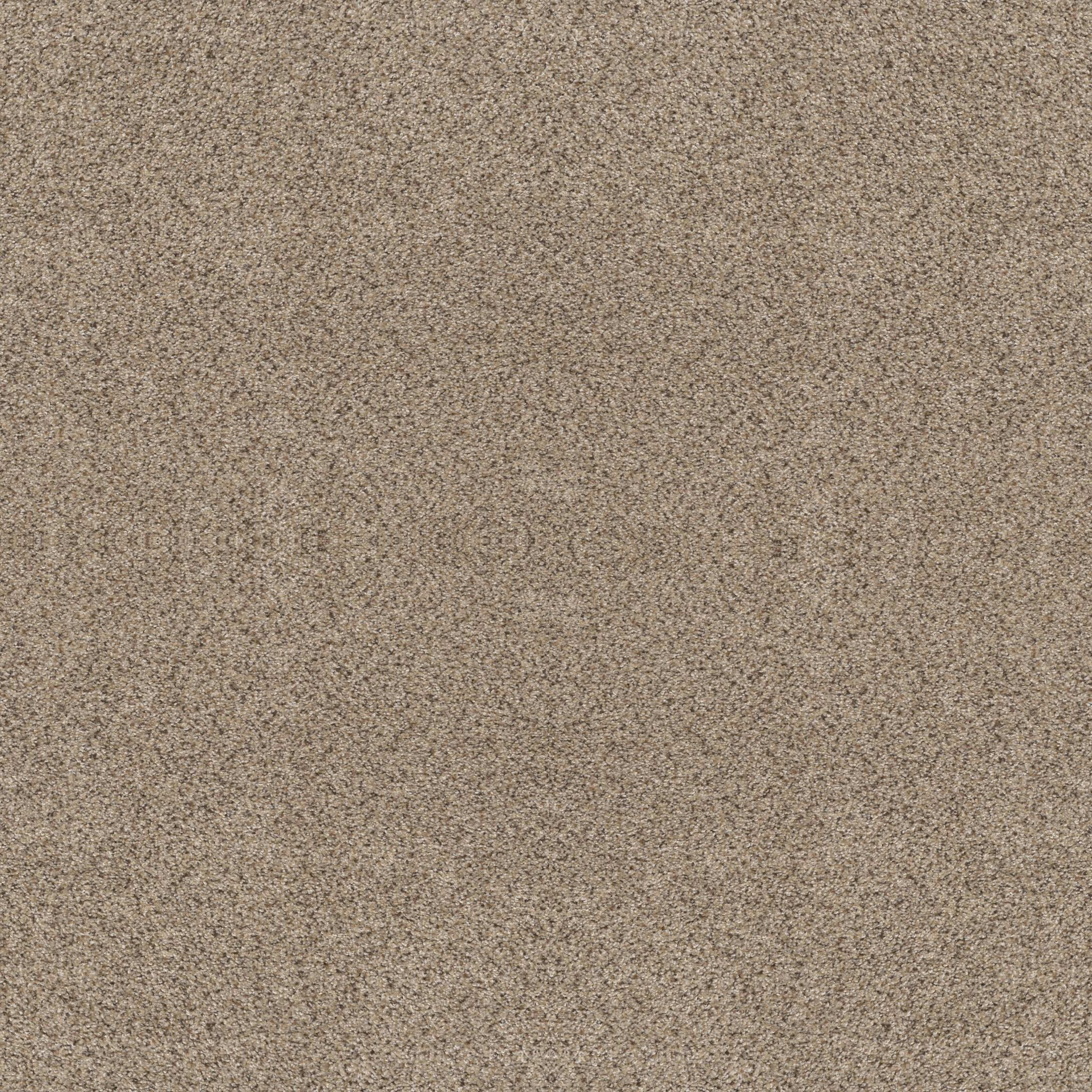 ABILENE II in Sand Castle Carpet