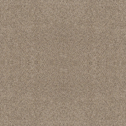 ABILENE II in Sand Castle Carpet