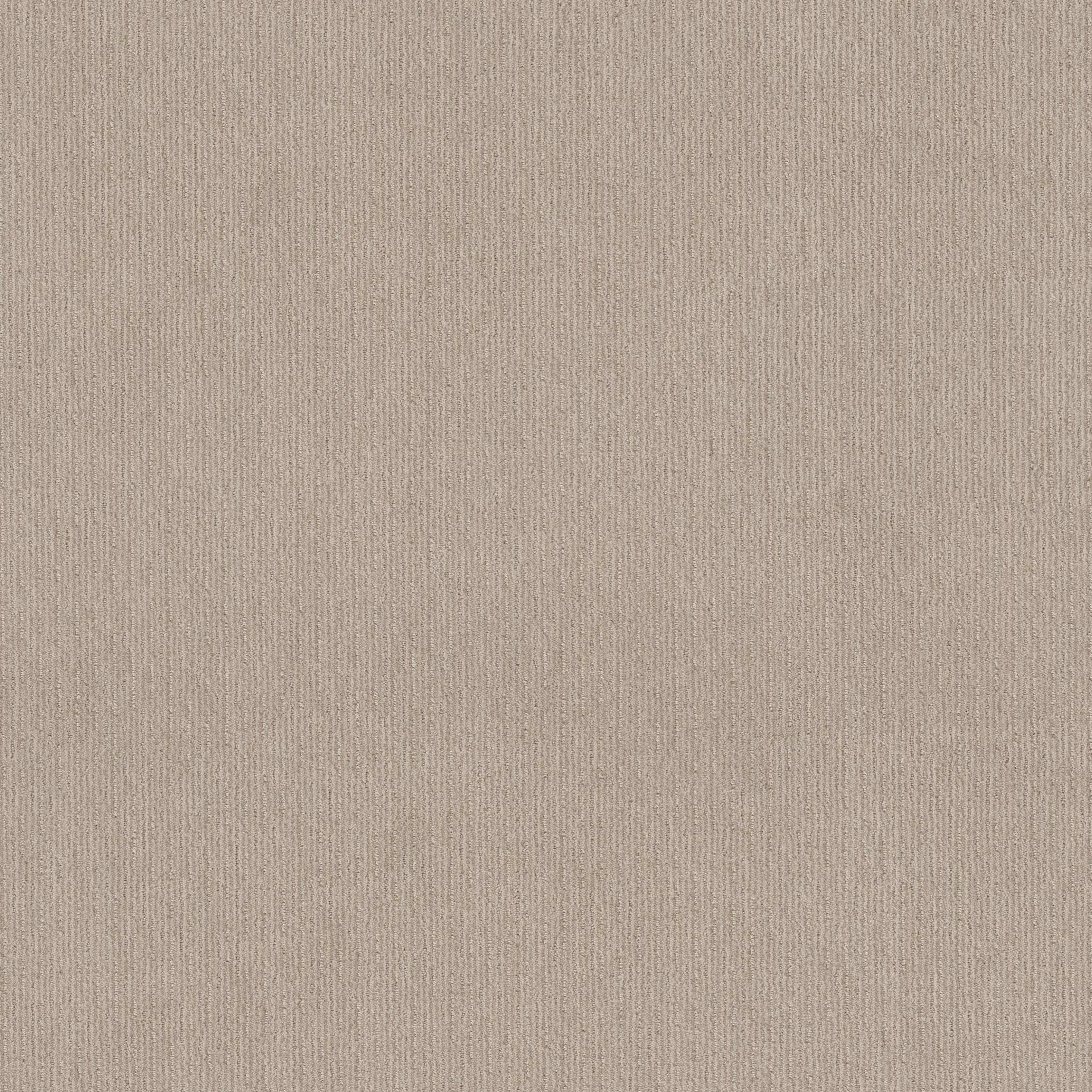 CEDAR CITY in Passageway Carpet