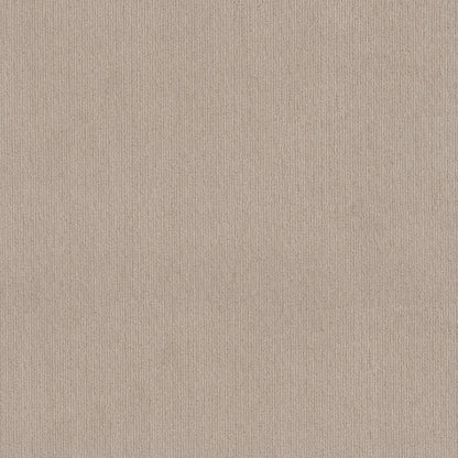 CEDAR CITY in Passageway Carpet