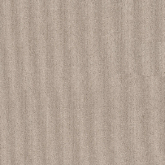 CEDAR CITY in Passageway Carpet