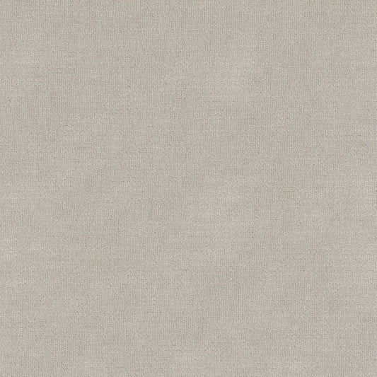SIERRA VISTA in Rock Crystal Carpet