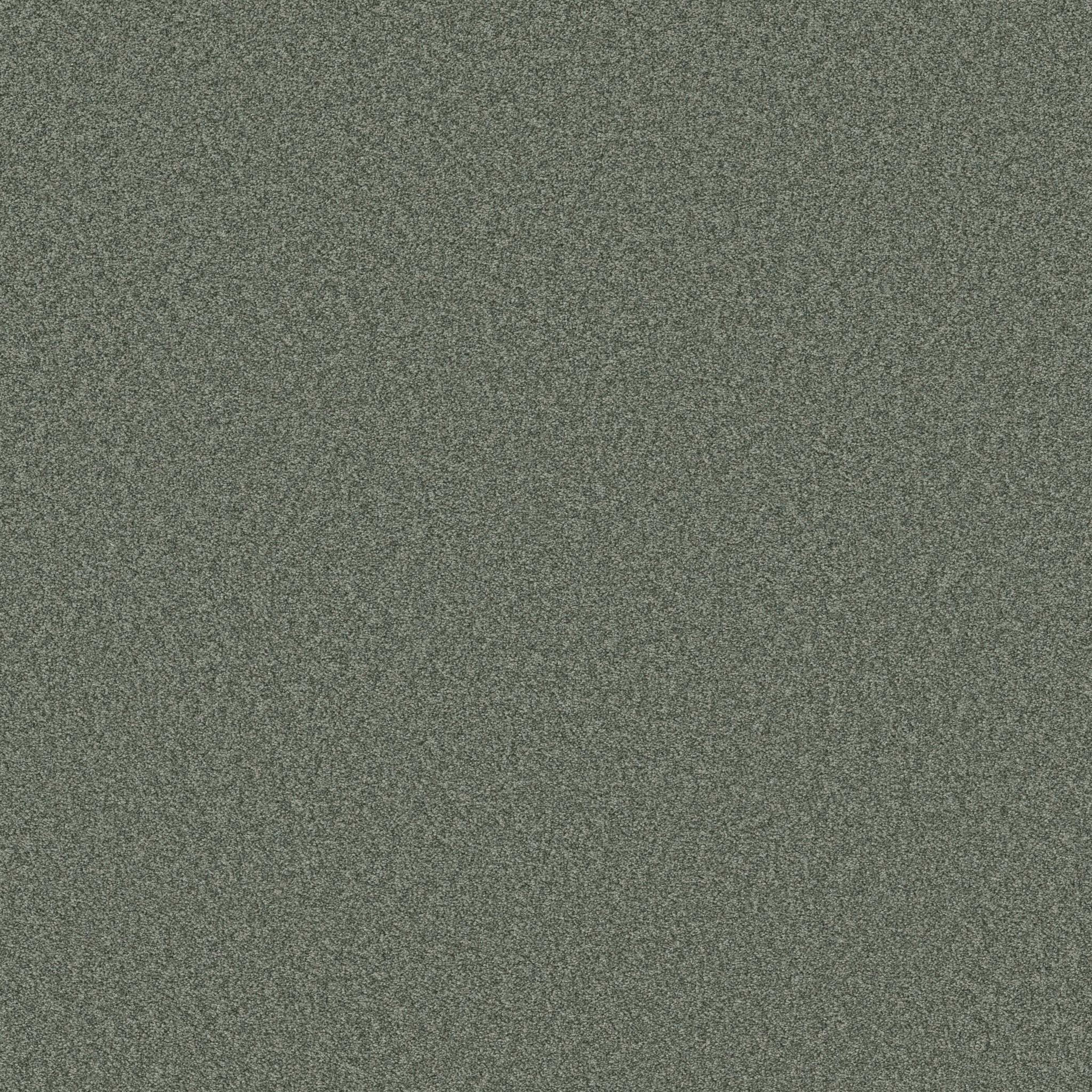 DEL RIO II in Evergreen Carpet