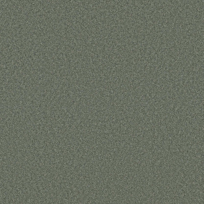 DEL RIO II in Evergreen Carpet