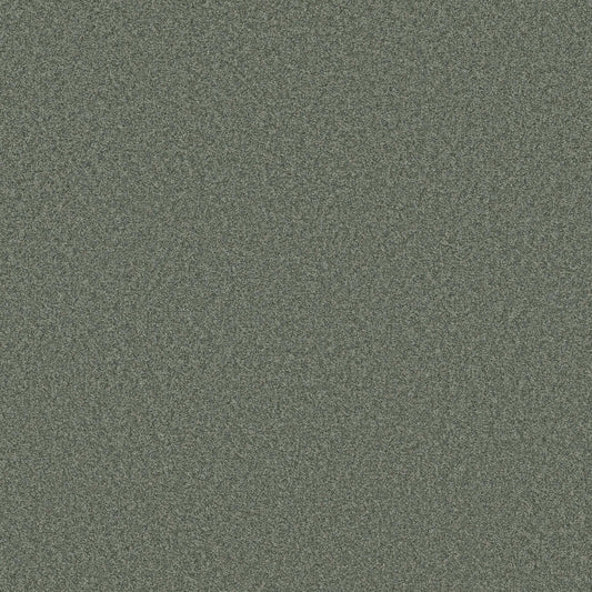 DEL RIO II in Evergreen Carpet