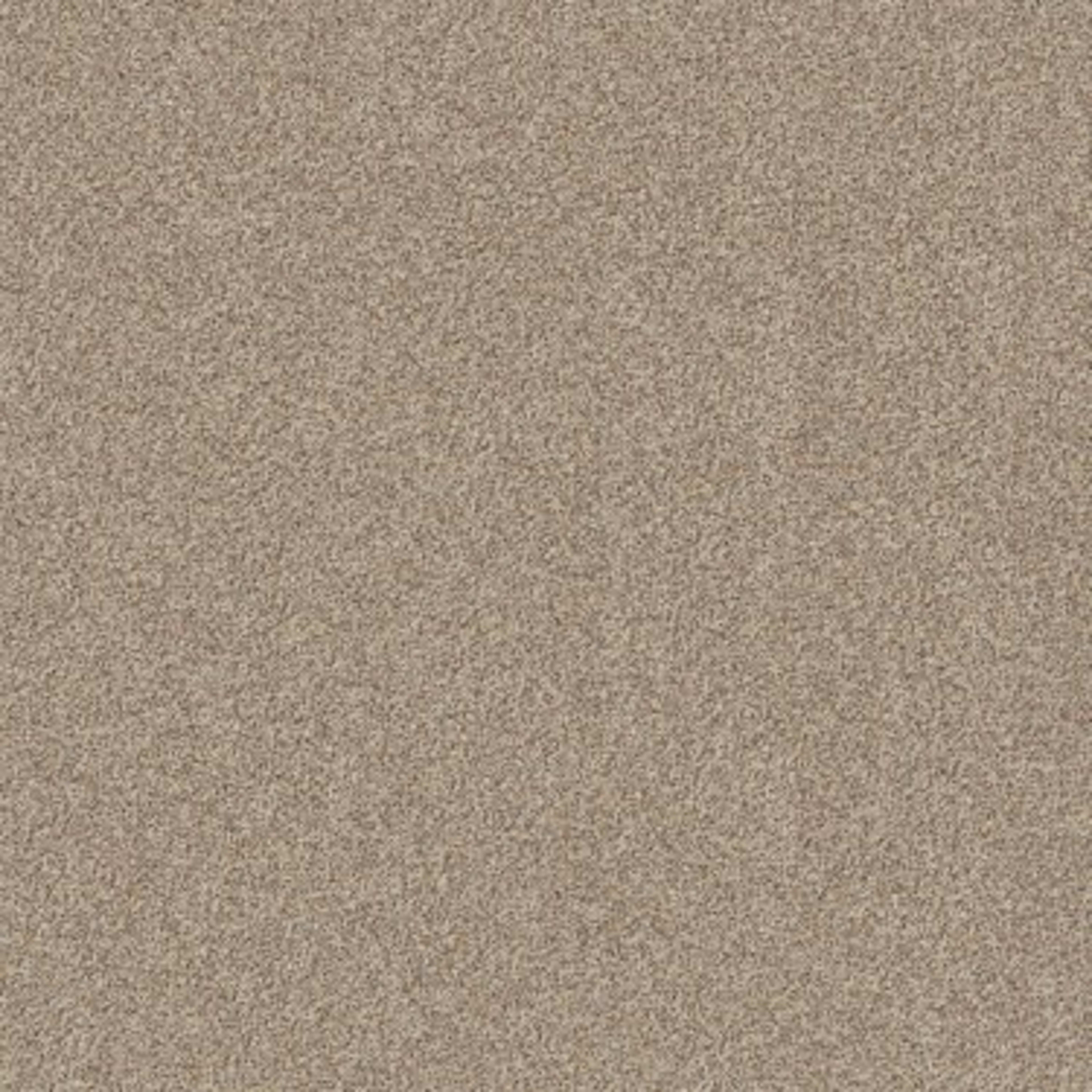 CANYON LAKE in Calm Ivory Carpet
