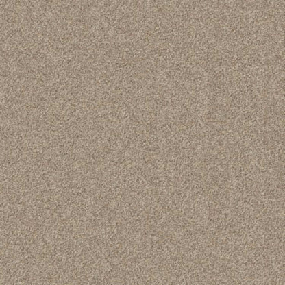 CANYON LAKE in Calm Ivory Carpet