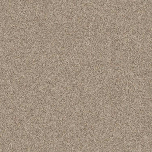 CANYON LAKE in Calm Ivory Carpet