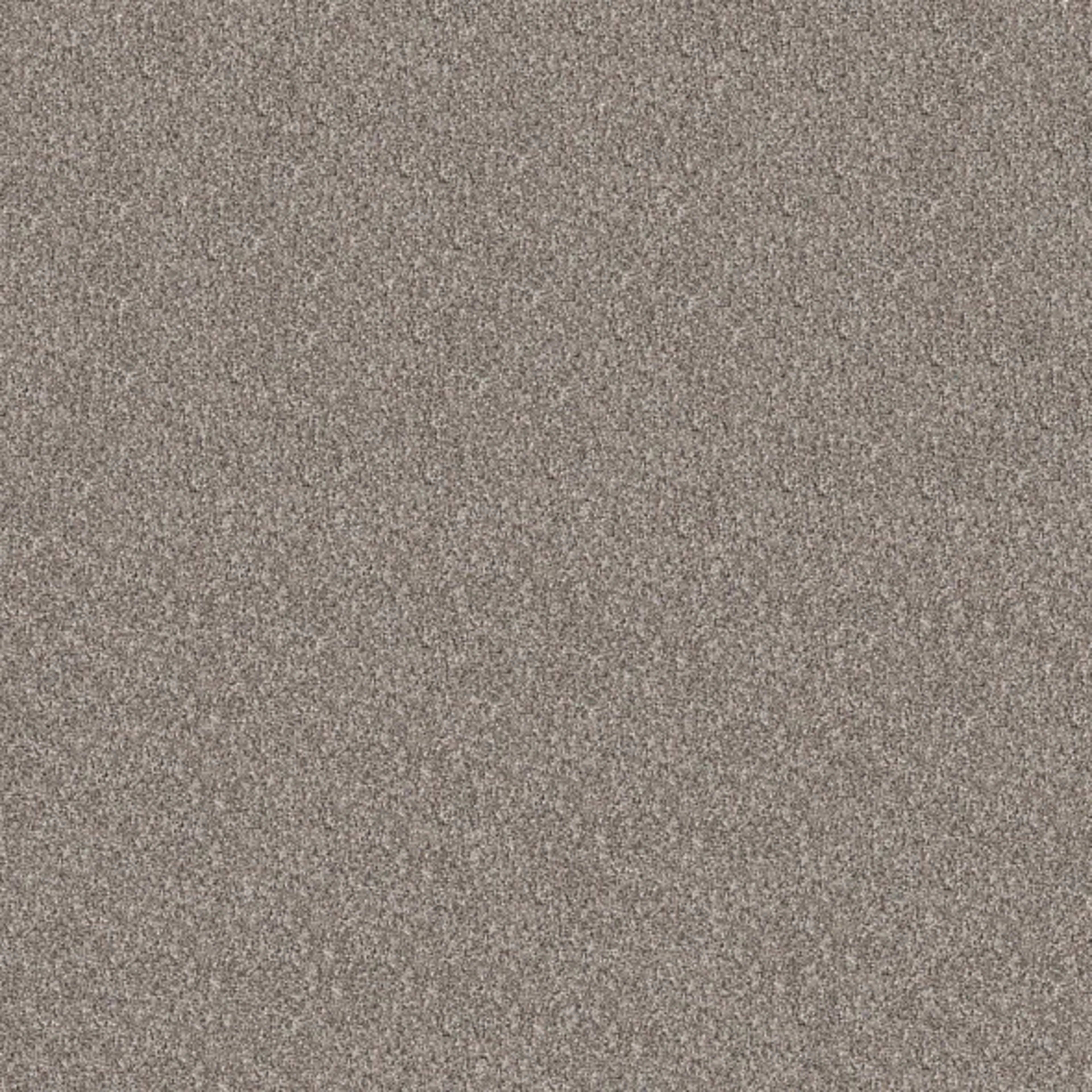 Elevated III in Perfection Carpet